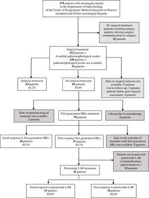 Clinical, hormonal and pathomorphological markers of somatotroph pituitary neuroendocrine tumors predicting the treatment outcome in acromegaly